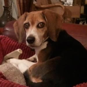 Meet your Posher, Nina